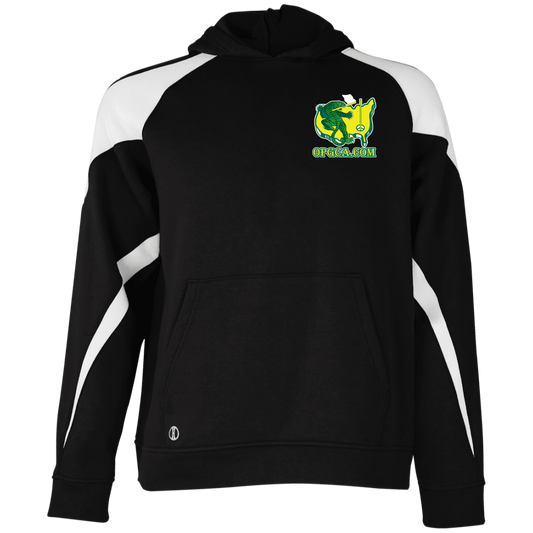 ZZZ#26 OPG Custom Designs. Tiger's Back. Youth Athletic Colorblock Fleece Hoodie