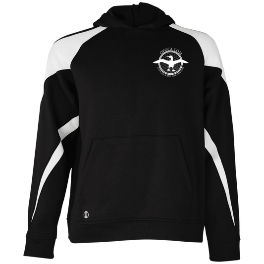 OPG Custom Artwork #1. Albatross. It's a golf thing. Youth Athletic Colorblock Fleece Hoodie